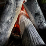 Yakiniku - Carbone di Birchotan "White Lychee" 5kg