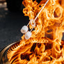 Solo Stove - Bonfire + Stand 2.0 - Braciere a legna