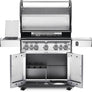 Napoleon Rogue RSE 625 RSIB - Barbecue a Gas