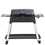 Barbecue a Gas Everdure FURNACE™