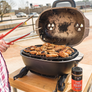 PK GRILLS - PK GO con Flip Kit