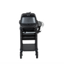 PK Grills - PK300AF Franklin Edition