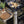 Combo ENOSIGN 65 Nero e Inox - Plancha Gas con carrello