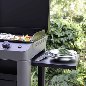 Combo FUSION 60 Grigio Scuro - Plancha Gas con carrello