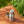 Barbecook - Bottiglia per olio in Stainless steel