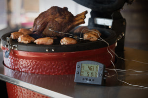 THERMAPEN SMOKE - Wireless Barbecue Thermometer