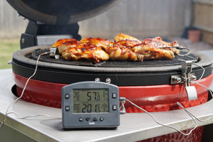 THERMAPEN SMOKE - Wireless Barbecue Thermometer