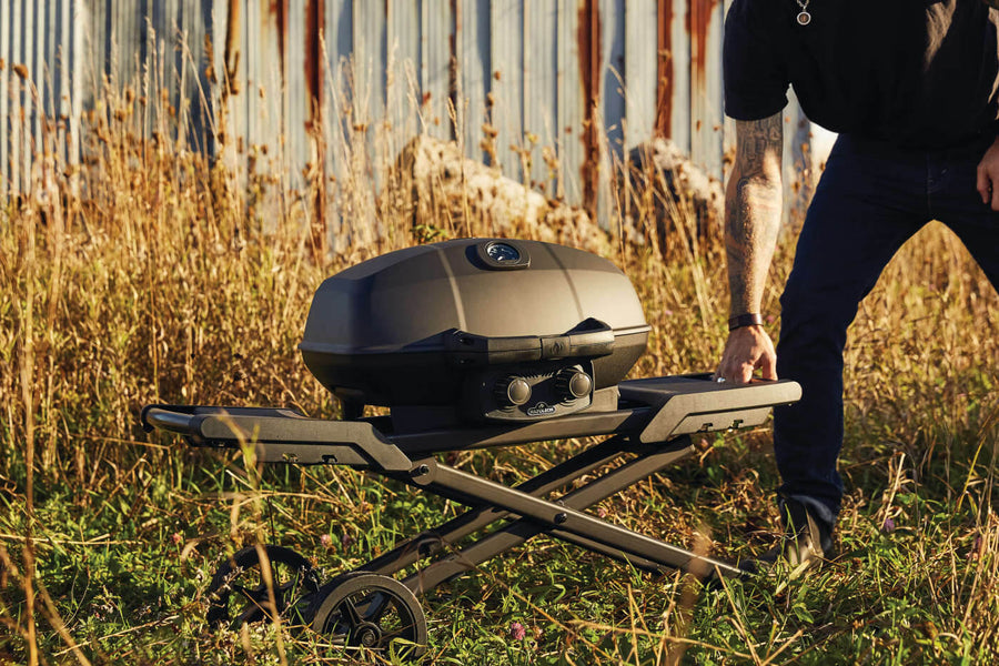 Napoleon Phantom TravelQ PRO285X - Barbecue a Gas