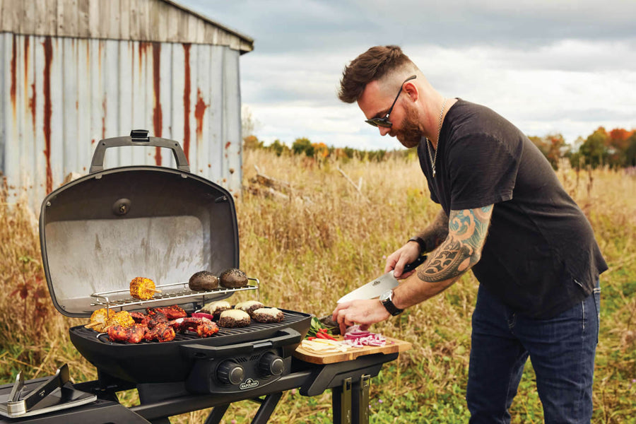 Napoleon Phantom TravelQ PRO285X - Barbecue a Gas