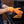 Traeger - Kit di guanti monouso in nitrile e cotone