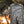 Petromax - Teglia da Forno con Coperchio K4