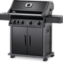 Napoleon Rogue R 525 SB - Barbecue a Gas